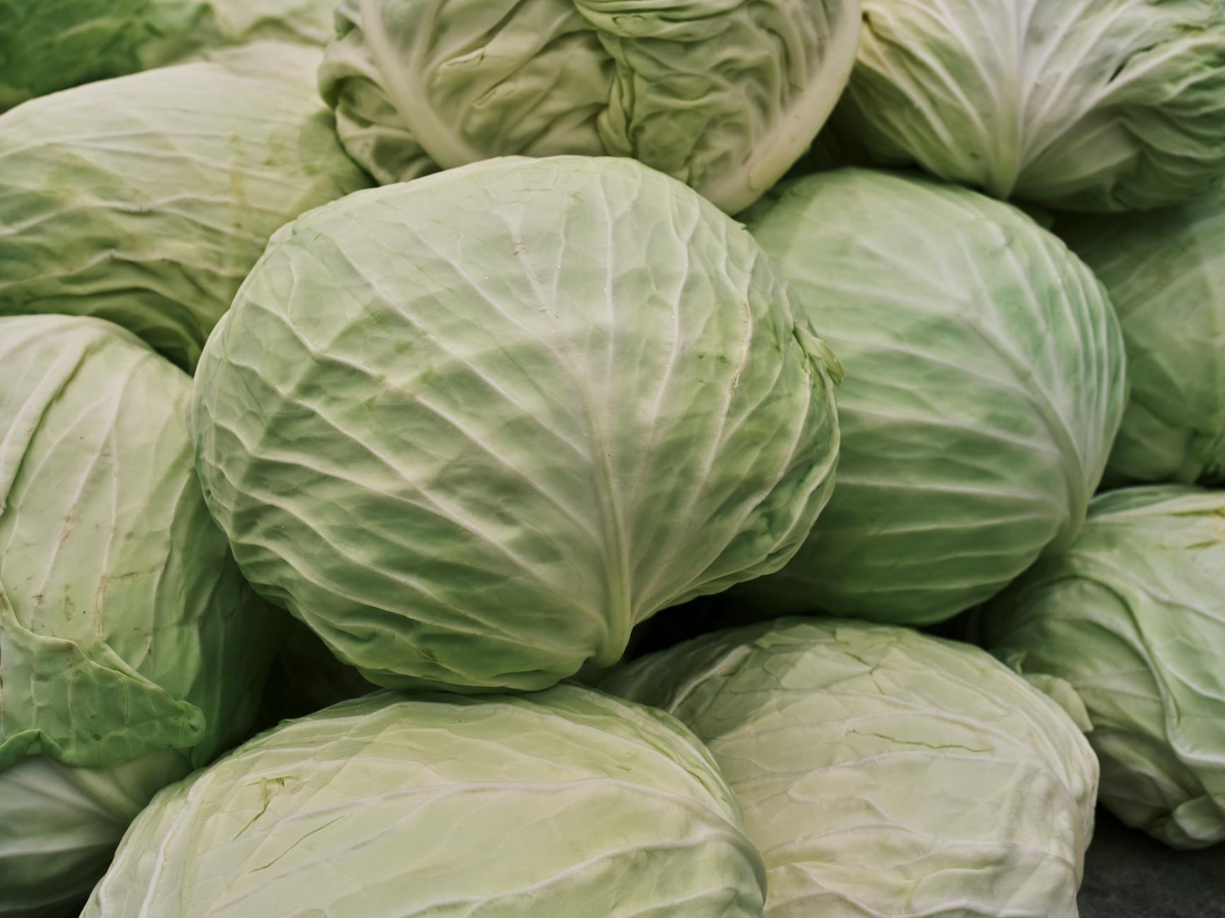 The Unbeatable Nutritional Profile