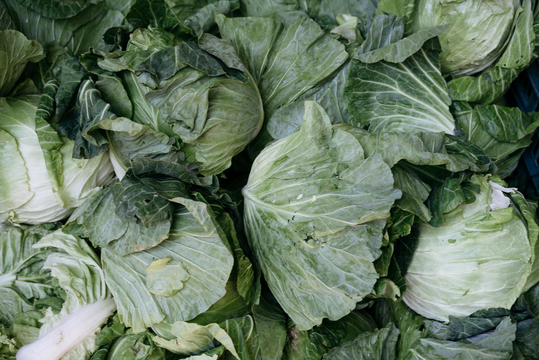 A Sustainable and Budget-Friendly Superfood