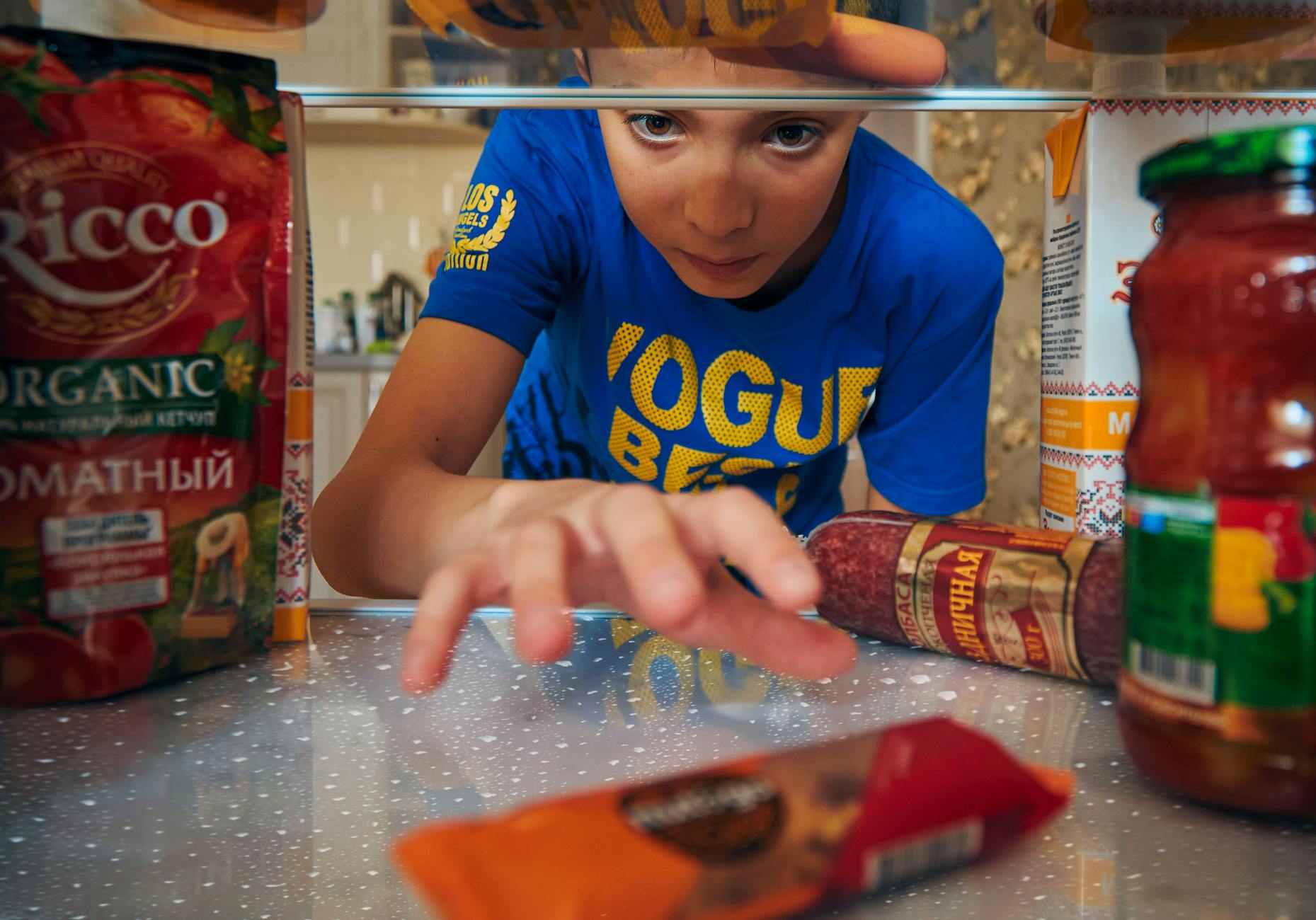 Beyond the Labels: Understanding Snack Scores