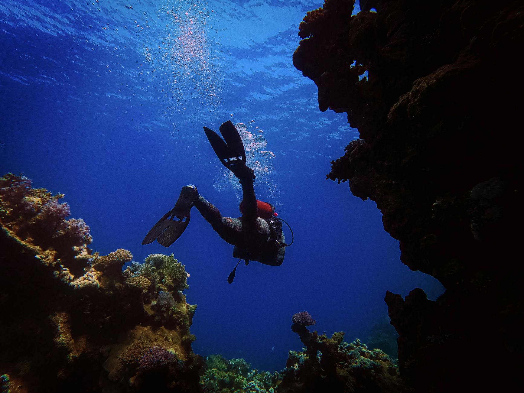 The Deep Dive: Flagging Specific Health Concerns