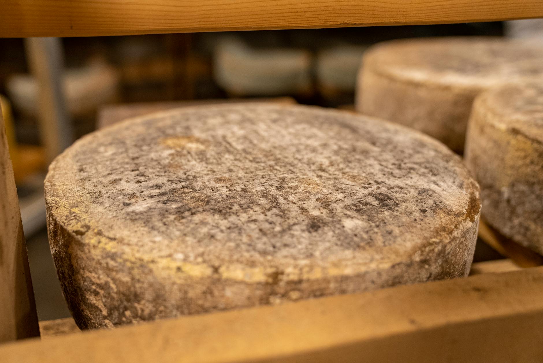 Moderation Heroes: Aged and Firm Cheeses