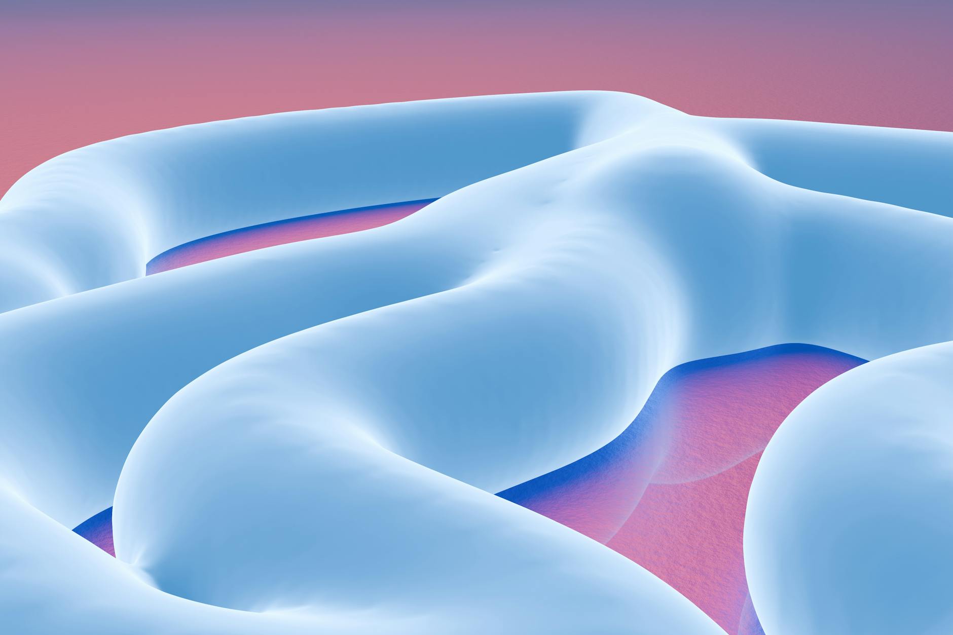 Rethinking Your Gut: Making Smart Choices in Key Categories